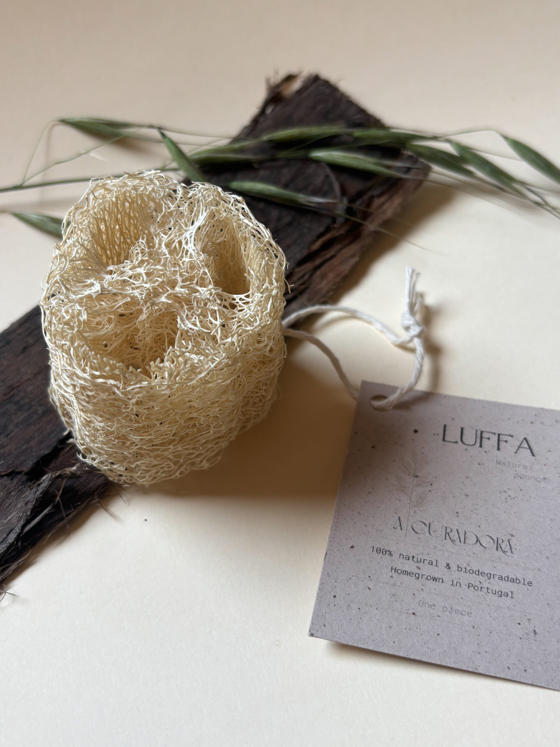Luffa